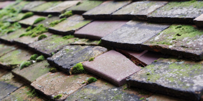 Whitland roof repair costs